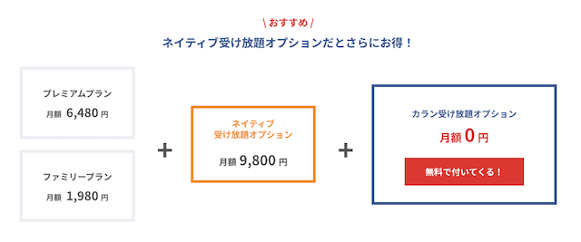 ネイティブ受け放題オプション